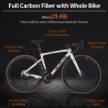 Rower szosowy SAVA F20 Carbon: szybka i zwinna jazda z Shimano 105