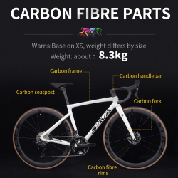 SAVA F20 Carbon Road Bike: High Performance Racing Bike