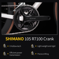 SAVA F20 Carbon Road Bike: High Performance Racing Bike