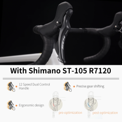 SAVA Racing Road Bike: Carbon Fiber & Shimano Drivetrain