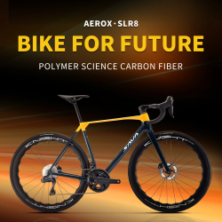 AeroX SLR8 C60 Carbon Racefiets - SAVA Bikes
