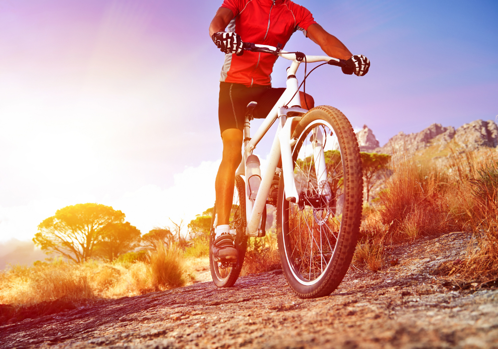 Welche Vorteile bietet ein stoßgedämpftes Carbon-Mountainbike?
