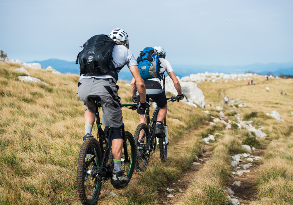 Was sollten Sie beim Kauf eines Carbonfaser-Mountainbikes beachten?
